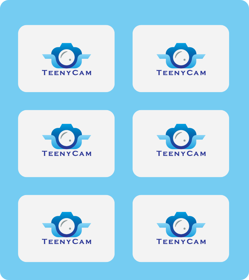 TeenyCam Logo Stickers