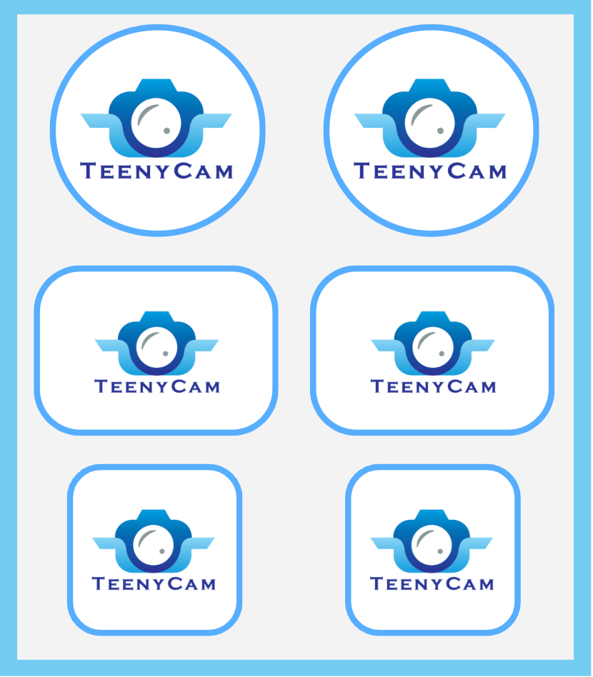 TeenyCam Logo Stickers