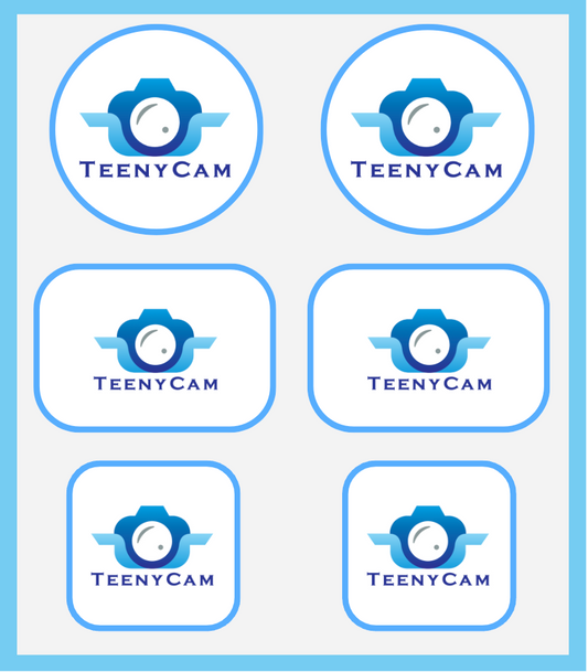 TeenyCam Logo Stickers